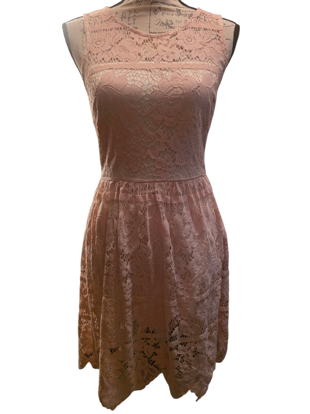 altar'd state Sleeveless Blush Pink Lace Fit-and-Flare Dress Small Euc